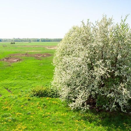 White Camomile Condo Швентої Екстер'єр фото